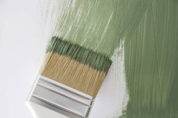Trusted Rutledge, GA Mold Removal Experts
