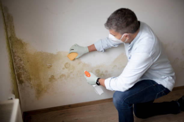 Best Crawl Space Mold Remediation  in Rutledge, GA