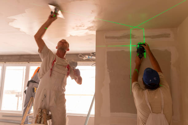Best Comprehensive Air Testing for Mold Contaminants  in Rutledge, GA